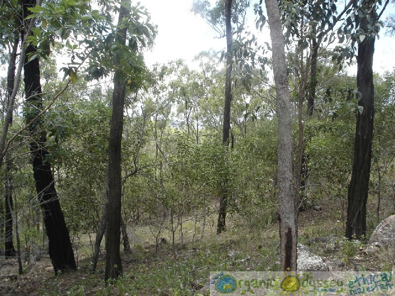 Lowmead QLD 4676