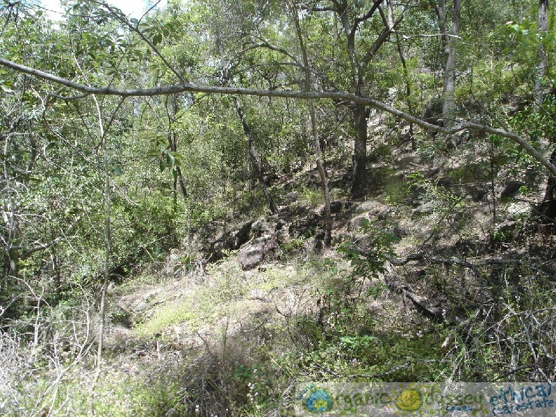 Lowmead QLD 4676
