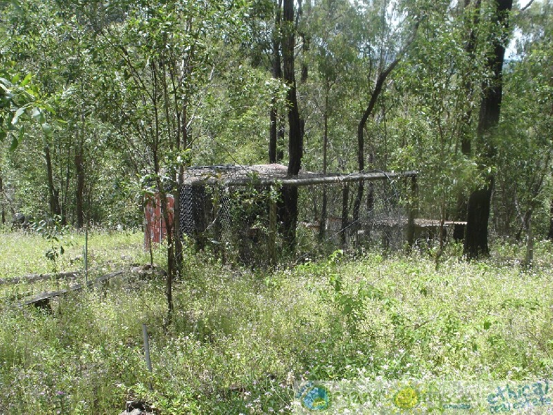 Lowmead QLD 4676