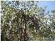 Lowmead QLD 4676