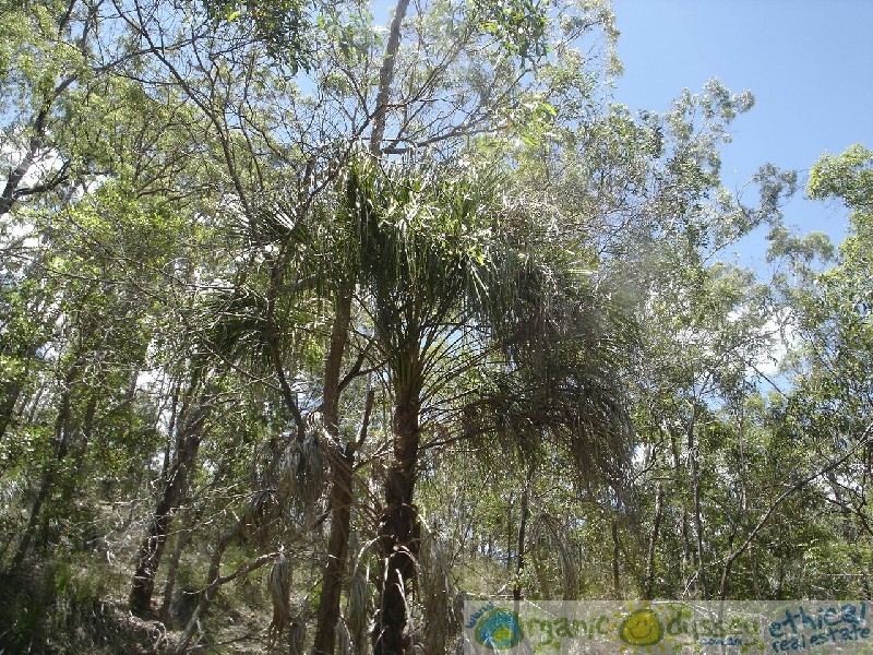 Lowmead QLD 4676