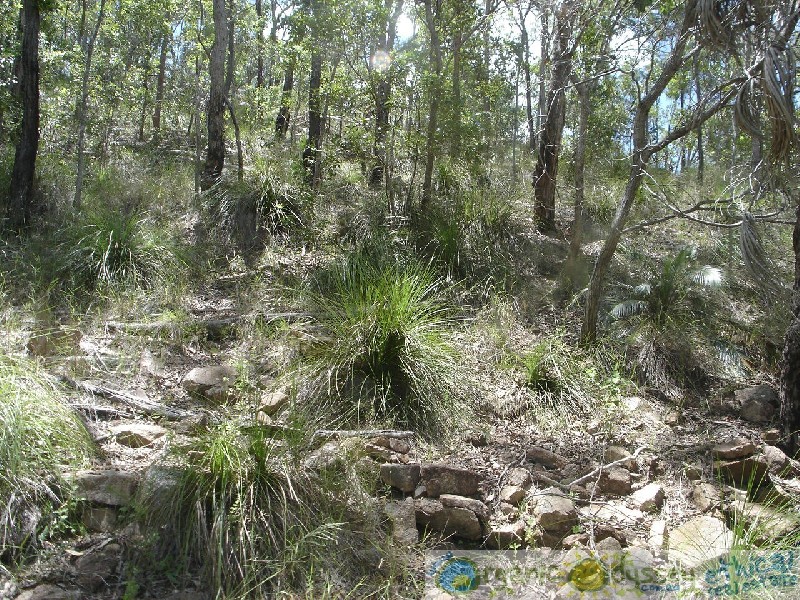 Lowmead QLD 4676