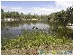 Deepwater QLD 4674