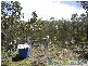 Deepwater QLD 4674