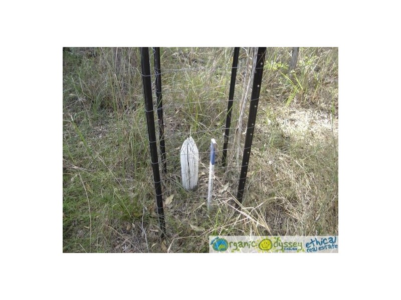 Baffle Creek QLD 4674