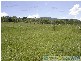 Mount Maria QLD 4674