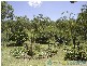 Mount Maria QLD 4674