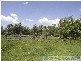 Mount Maria QLD 4674
