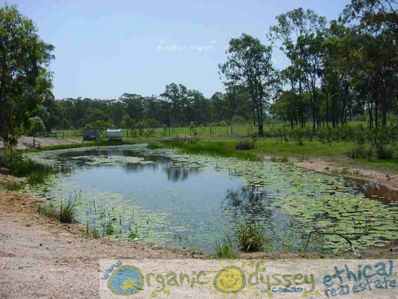 Oyster Creek QLD 4674