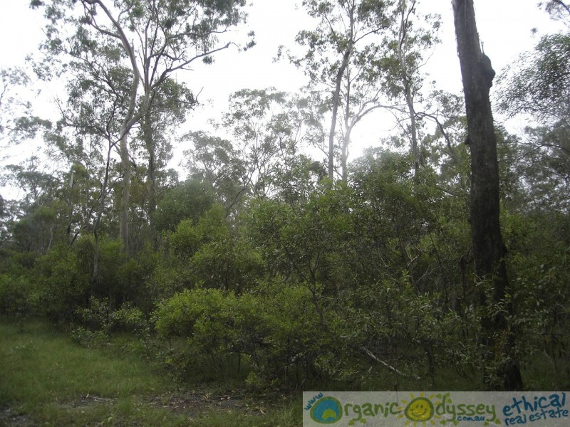Baffle Creek QLD 4674
