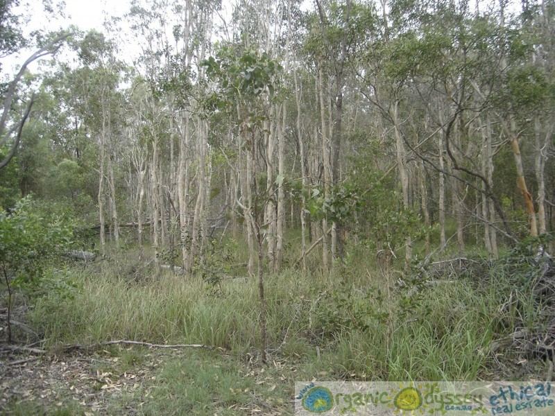 Baffle Creek QLD 4674