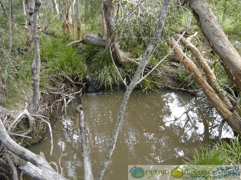 Captain Creek QLD 4677