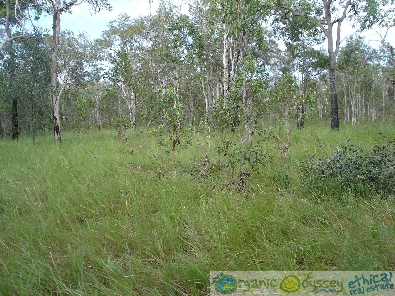 Captain Creek QLD 4677