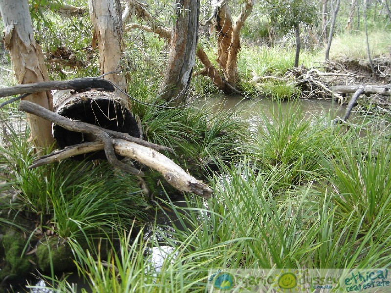 Captain Creek QLD 4677