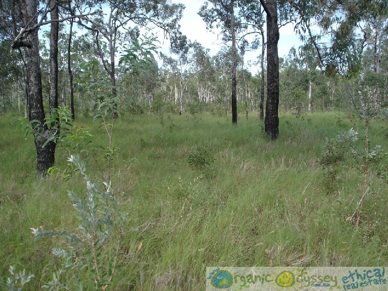 Captain Creek QLD 4677