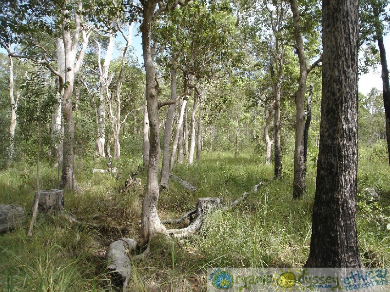 Captain Creek QLD 4677