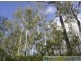 58 Marions Rd, Yandaran QLD 4673
