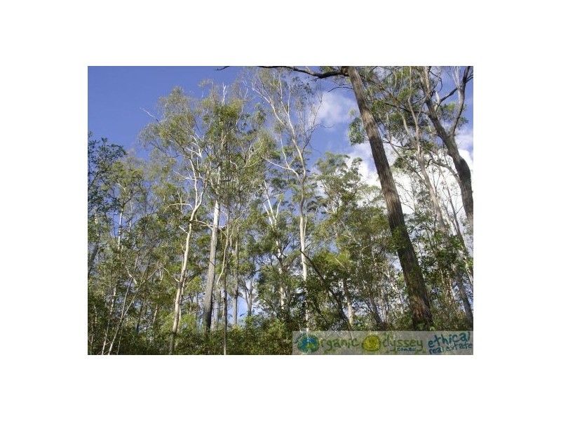 58 Marions Rd, Yandaran QLD 4673
