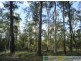 58 Marions Rd, Yandaran QLD 4673