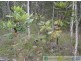 58 Marions Rd, Yandaran QLD 4673