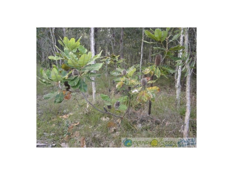58 Marions Rd, Yandaran QLD 4673