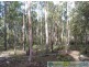 58 Marions Rd, Yandaran QLD 4673