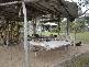Baffle Creek QLD 4674