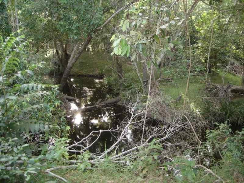 Captain Creek QLD 4677