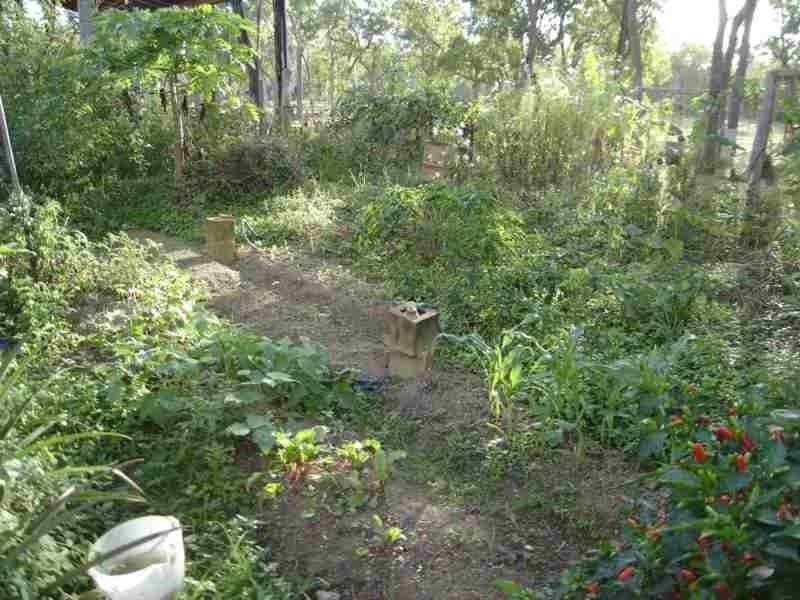 Captain Creek QLD 4677