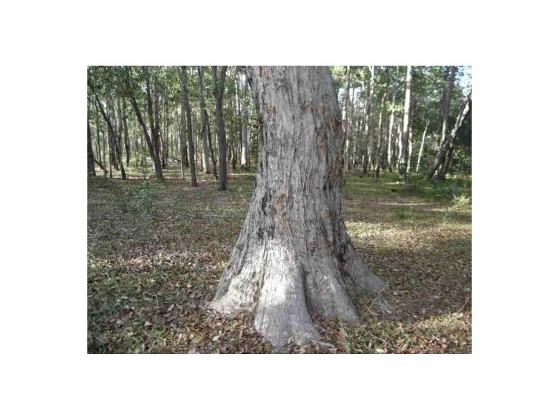 Captain Creek QLD 4677