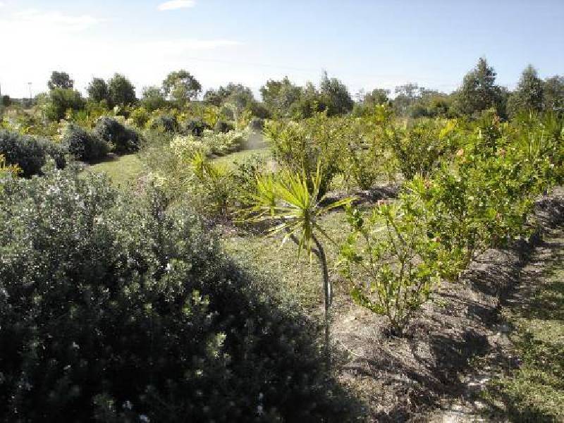 Agnes Water QLD 4677