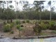 Lowmead QLD 4676