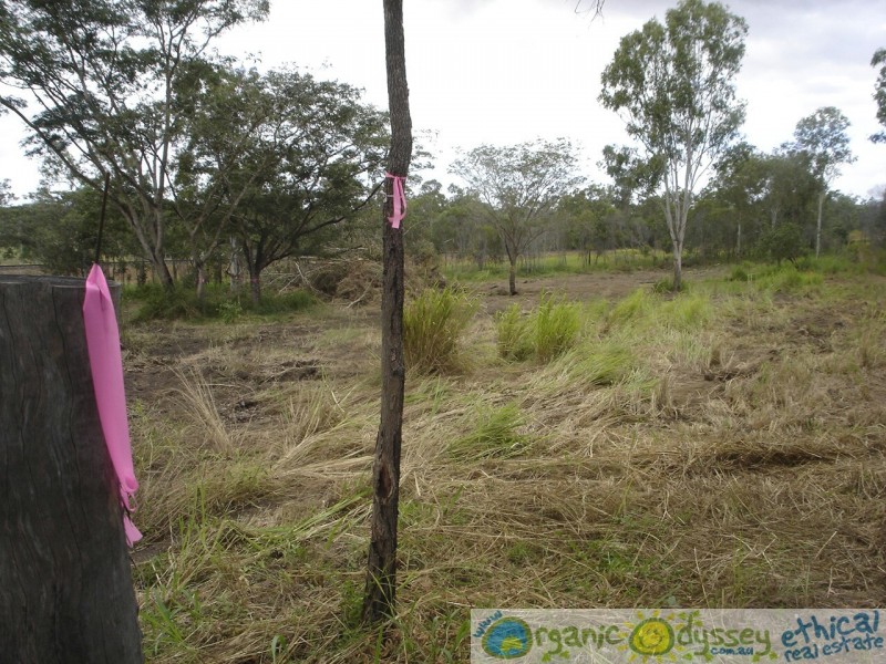 Lowmead QLD 4676