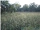 Rosedale QLD 4674