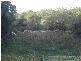 Rosedale QLD 4674