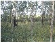 Rosedale QLD 4674