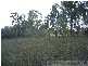 Rosedale QLD 4674