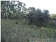 Rosedale QLD 4674