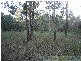 Rosedale QLD 4674