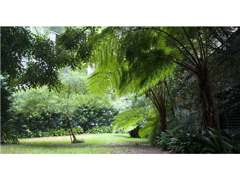 29/15 Hutchinson Street, Surry Hills NSW 2010