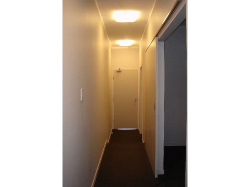 3/ 33 Goold Street, Chippendale NSW 2008