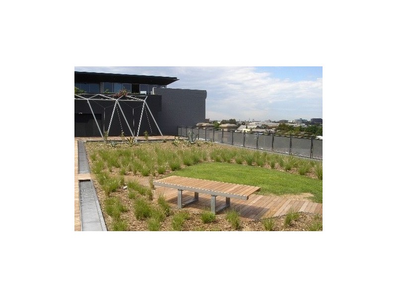 203/380 Harris Street, Pyrmont NSW 2009