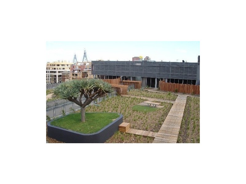 203/380 Harris Street, Pyrmont NSW 2009