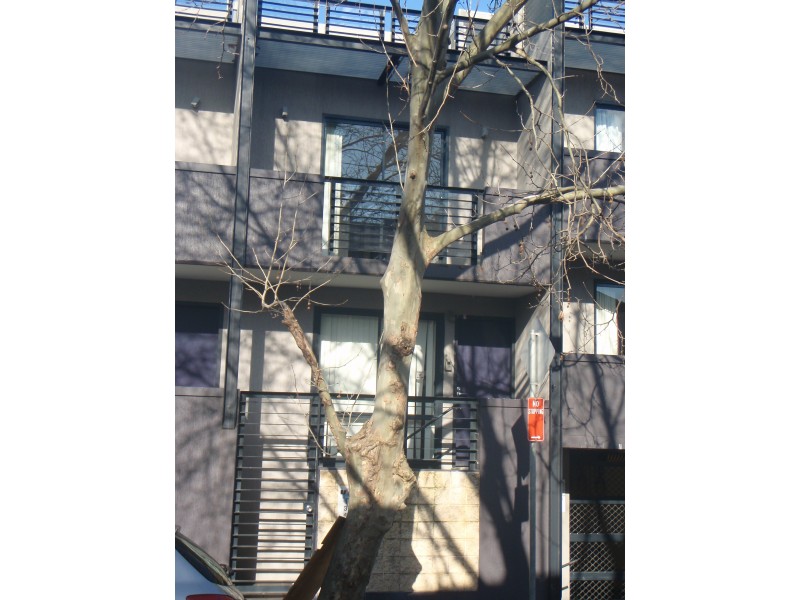 134 Wilton Street, Surry Hills NSW 2010