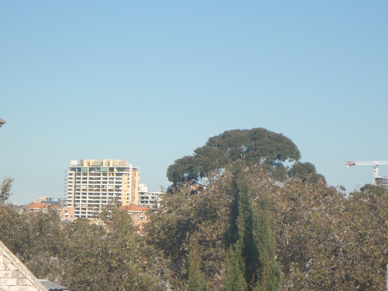 134 Wilton Street, Surry Hills NSW 2010