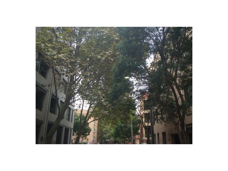 18/75 Buckland Street, Chippendale NSW 2008