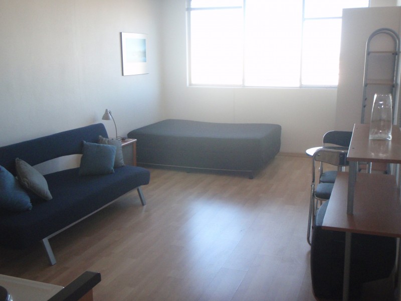 80/13 Waine Street, Surry Hills NSW 2010