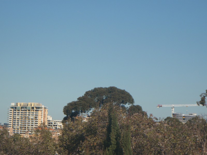 134 Wilton Street, Redfern NSW 2016