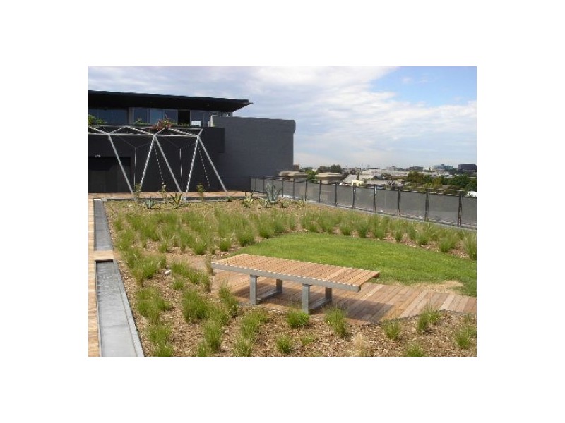 305/380 Harris Street, Pyrmont NSW 2009