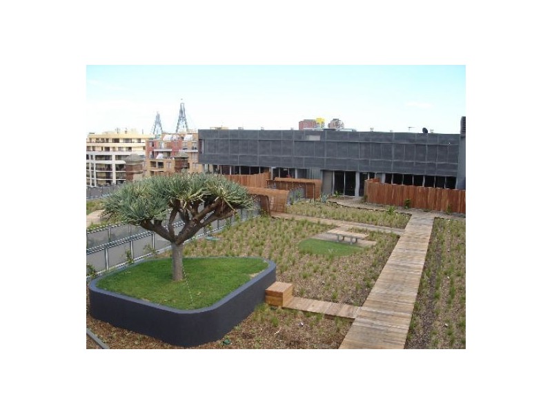 305/380 Harris Street, Pyrmont NSW 2009